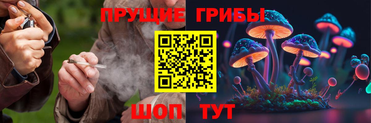 Галлюциногенные грибы Magic Shrooms  Вход с VPN  Галлюциногенные грибы прущие грибы  Троицк 